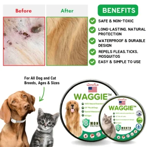Waggie™ - Natural Anti-Flea, Tick, & Mosquito Collar (Safest 8+ Months Protection) 10 Waggie Main compressed 1080x