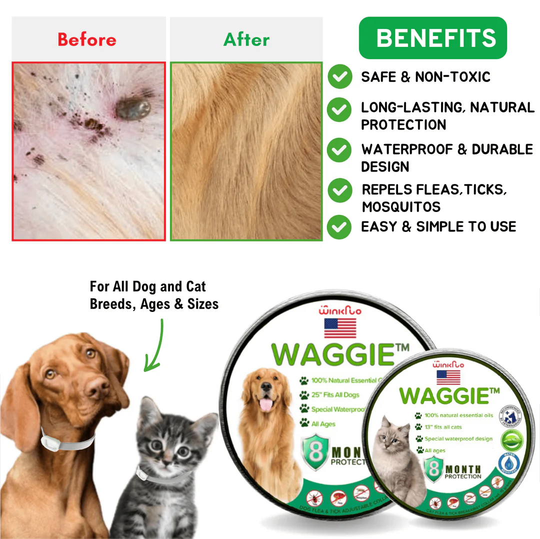 Waggie™ - Natural Anti-Flea, Tick, & Mosquito Collar (Safest 8+ Months Protection) 3 Waggie™ - Natural Anti-Flea, Tick, & Mosquito Collar (Safest 8+ Months Protection) - Image 3