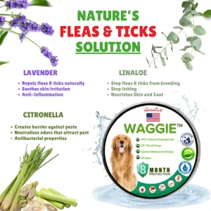 Waggie™ - Natural Anti-Flea, Tick, & Mosquito Collar (Safest 8+ Months Protection) 11 Waggie Nature sSolution Compressed 1080x