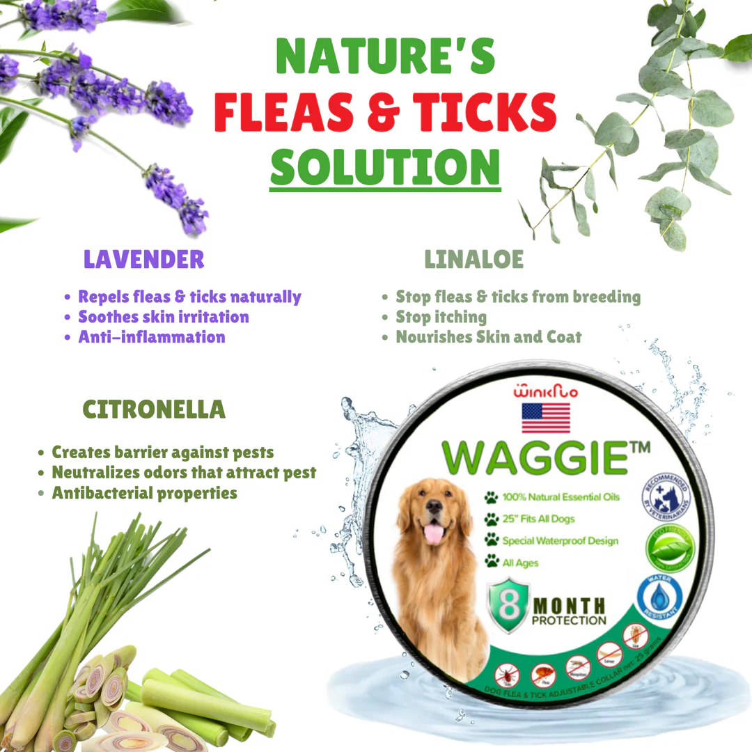 Waggie™ - Natural Anti-Flea, Tick, & Mosquito Collar (Safest 8+ Months Protection) 4 Waggie™ - Natural Anti-Flea, Tick, & Mosquito Collar (Safest 8+ Months Protection) - Image 4