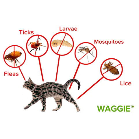 Waggie™ - Natural Anti-Flea, Tick, & Mosquito Collar (Safest 8+ Months Protection) 5 Waggie™ - Natural Anti-Flea, Tick, & Mosquito Collar (Safest 8+ Months Protection) - Image 5