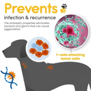 PetCare™ Kolirin Bee Venom Lumps & Bumps Pet Spray 10 PetCare™ Kolirin Bee Venom Lumps & Bumps Pet Spray