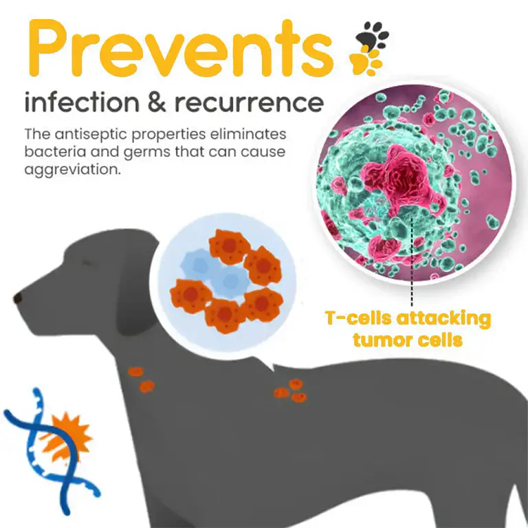 PetCare™ Kolirin Bee Venom Lumps & Bumps Pet Spray 3 PetCare™ Kolirin Bee Venom Lumps & Bumps Pet Spray