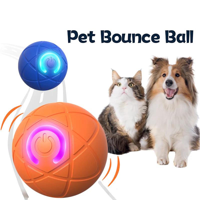 Pet Bounce Ball for Cats🐱 & Dogs🐶 1 Pet Bounce Ball for Cats🐱 & Dogs🐶